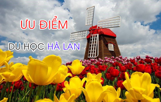 Ưu điểm khi đi du học Hà Lan